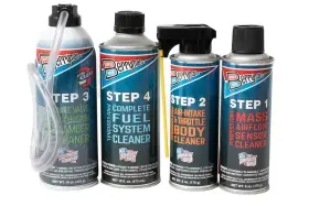 2640 Berryman 4-step Professional Air Fuel System Maintenance Kit 28-oz Model Id