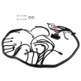 B8l7ew Bfo Stand Alone Harness For Corvette/cts-v Ls1/ls6 Dbc 1997 1998 1999-02 2003 2004