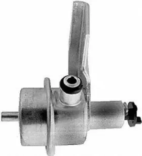 22801 Bwd Fuel Injection Pressure Regulator