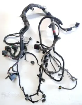 56051399aa Chrysler Dodge 05 Ram 5.7 Hemi 4 Complete Engine Fuel Injection Wiring Harness Oem