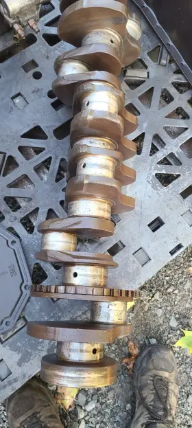 3944204 Cummins 3941199 Qsb Engine Crankshaft / 3369509