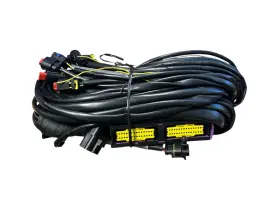 086221 Esatto Lpg Wiring Harness For 6-cylinder Gas Injection System