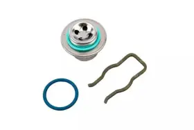 12575013 Gm Genuine Fuel Pulse Dampener