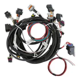 558-111 Holley Efi Main Engine Harness For 24x Ls With Tbi