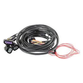 558-411 Holley Efi Dominator Gm Dual Drive-by-wire Harness