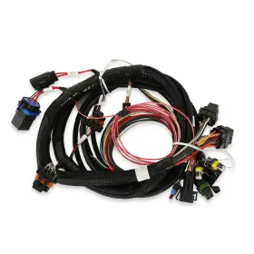 558-414 Holley Efi Terminator Main Harness