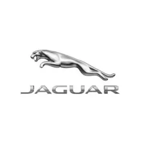 Aj87977 Jaguar Genuine Pressure Regulator