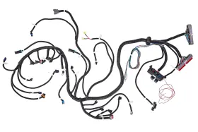 10414 Jegs Ls Stand Alone Wire Harness For 1999-06 Truck Style 4l60 65 70e Dbc