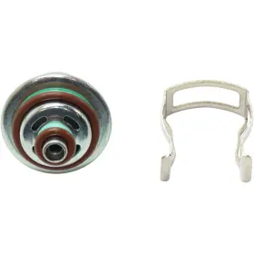 Karparts360 197238616513 For Chevy Silverado 1500 Fuel Pressure Regulator 2002 03 04 2005 Straight Nipple
