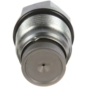 Bs1110010013b1 Marinepartsdistributors Fuel Pressure Relief Valve 2006-2014 Gmc Sierra 2500 3500 Lt Bs1110010013