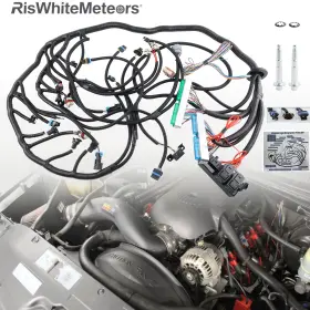 Ech012 Riswhitemeteors Ls Swap Standalone Wiring Harness Drive By Wire Dbw 4l60e Trans For Ls1 1997-04