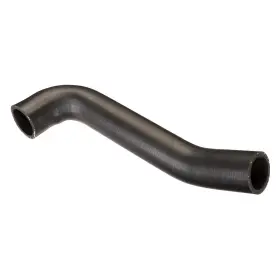 Spectra Premium Fnh105 For Toyota Corolla 2003-2004 Fuel Filler Hose