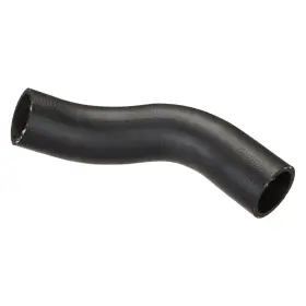 Fnh131 Spectra Premium For Acura Integra 1998-1999 Fuel Filler Hose