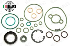 0445010036 Srt Audi A8 Quattro 3.3 Tdi V8 1999-02 Common-rail Diesel Fuel Pump Cp3 Rebuild Kit