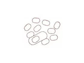 Wp39z4 Vr Gaskets Fuel Injection Plenum Gasket Set For E350 Club Wagon Econoline Super Duty