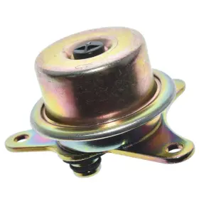 255-1087 Walker Products Brass Fuel Injection Pressure Regulator Direct Fit