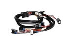 Fast Injector Harnesses 301208 New. Price: $181.99.