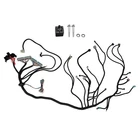 Stand Alone Wiring Harness For Ls Swap Vortec 4L80E 4.8 5.3 6.0 2003-2007. Price: $82.30.