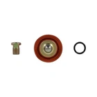 25-392 Aem Adjustable Fuel Pressure Regulator Rebuild Kit New. Price: $69.69.