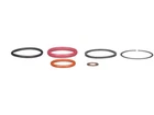 Ford F250 Super Duty Fuel Injection Nozzle O-ring Kit Delphi 79122NTGV New. Price: $31.05.