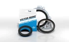 Victor Reinz GS33505A Fuel Injector Seal Kit New. Price: $22.74.