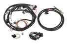 Holley Efi 558-508 Universal Ford V8 Harness Kit New. Price: $805.95.