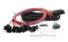 Holley Efi 558-204 Universal Unterminated Injector Harness New. Price: $230.95.