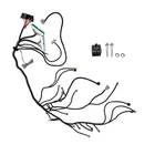 Stand Alone Harness For Ls Swap Vortec 4L80E 4.8 5.3 6.0 Drive By Wire Dbw 03-07 New. Price: $115.60.
