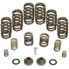 Bd Diesel 1040185 Governor Spring Kits 1994-1998 Dodge For Cummins New. Price: $228.95.