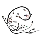 Holley Efi 558-101 Tpi/stealth Ram Main Harness New. Price: $675.95.