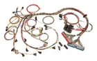 Painless Wiring 60508 Fuel Injection Harness New. Price: $630.78.