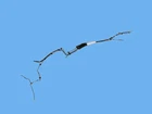 Genuine Mopar Fuel Line Bundle 68250912AF New. Price: $968.73.