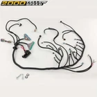 Fit For Ls Vortec 2003-2007 Standalone Wiring Harness Drive By Wire / 4L60E. Price: $102.50.