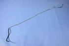 Fuel Supply Hose Mopar 52121527AB New. Price: $1004.56.
