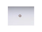 Fuel Line Seal Ring 11SZGZ21 For Fiero Grand Prix Firebird 1989 1988 1986 1998 New. Price: $15.28.