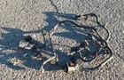 Engine Computer Wiring Harness Ecu 1998 Ford Mustang Gt 4.6 Sohc Coupe Automatic Used. Price: $199.49.