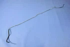 Genuine Mopar Fuel Supply Tube 52121527AB New. Price: $996.36.