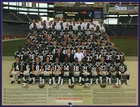 New England Patriots 2004 & 2007 8 X 10 Photo W/tom Brady. Price: $6.99.
