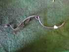 2008 Audi A8L D3 Passenger Fuel Injector Harness 079971627B Used. Price: $24.00.