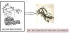 Engine Wire Harness Oem 2019 Ford F150 Used. Price: $200.00.