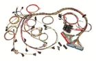 Painless Performance Fuel Injection Harness 60508 New. Price: $569.99.