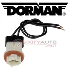Dorman Techoice License Plate Light Socket 1993-1997 Ford Explorer Sn New. Price: $26.94.