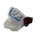 Oem Vapor Purge Valve 12707914 For 2021-2024 Chevrolet Trax Trailblazer New. Price: $31.50.