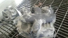 Intake Manifold 3.0L Lower Fits 01-04 Escape 1374910 Used. Price: $70.00.