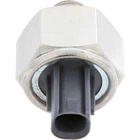 Knock Sensor Holstein 2KNC0253 New. Price: $62.66.