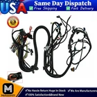 For 03-07 Ls Vortec Standalone Wiring Harness Drive By Wire 4L60E 4.8 5.3 6L Dbw. Price: $99.74.
