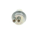 Bosch Fuel Accumulator Fits Porsche 928 Coupe 4.5-5.0L 1978-1986 New. Price: $355.94.