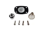 Aeromotive Regulator Service Kit For P/n 13201, 13205, 13211, 13215, New. Price: $26.17.
